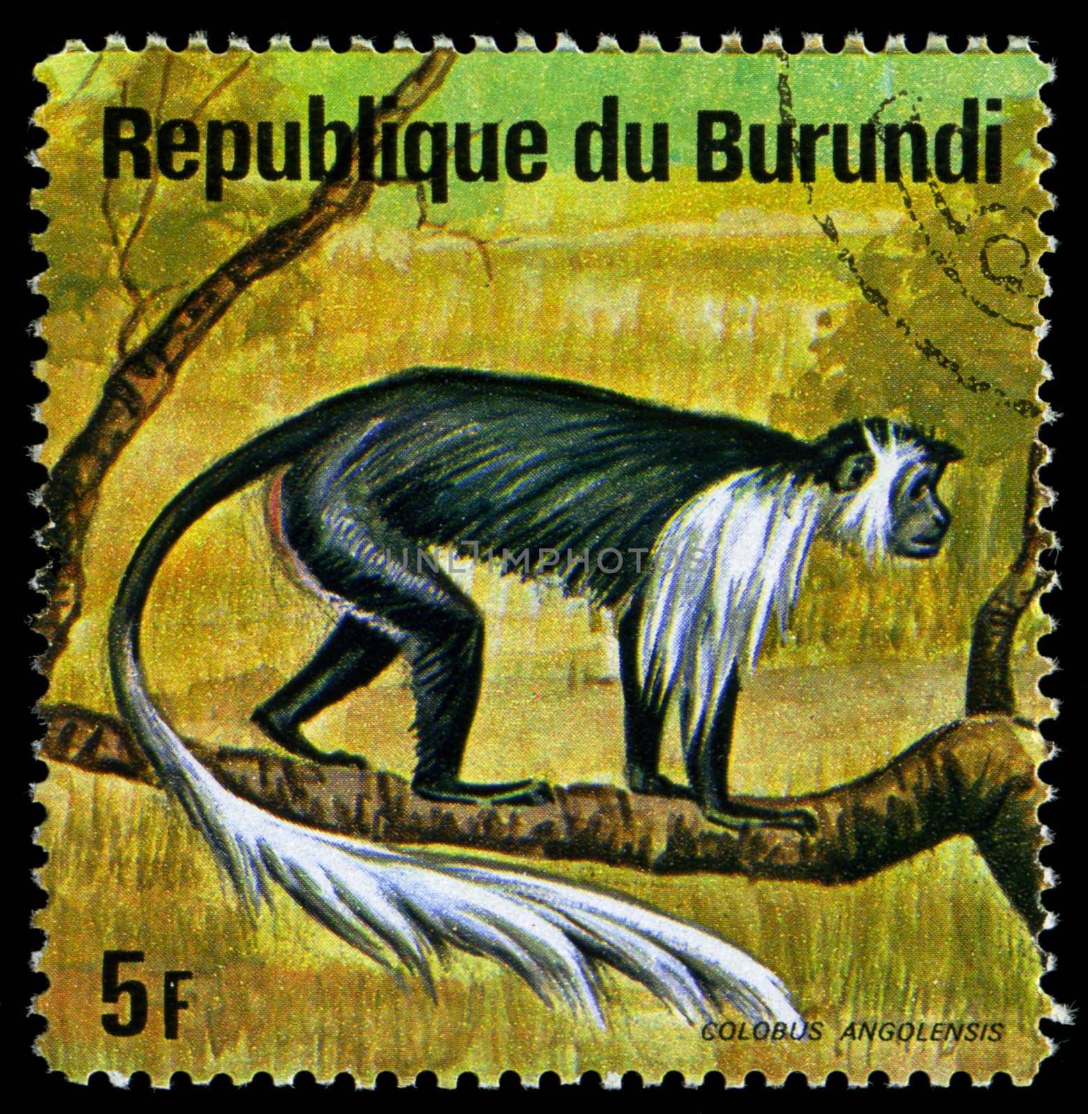 BURUNDI - CIRCA 1964: A stamp printed in Burundi shows a wild animal, circa 1964. by Zhukow