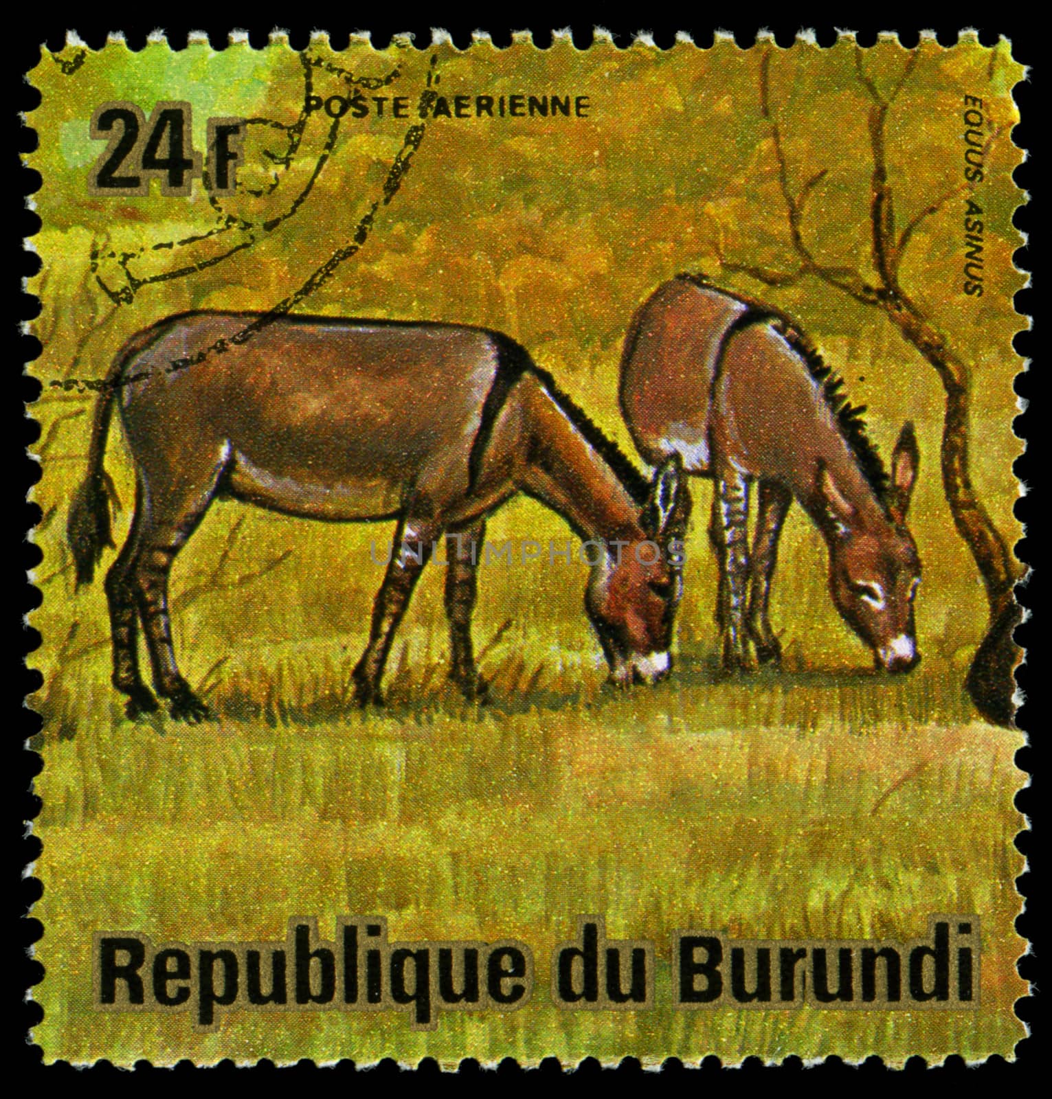 BURUNDI - CIRCA 1964: A stamp printed in Burundi shows a wild animal, circa 1964. by Zhukow