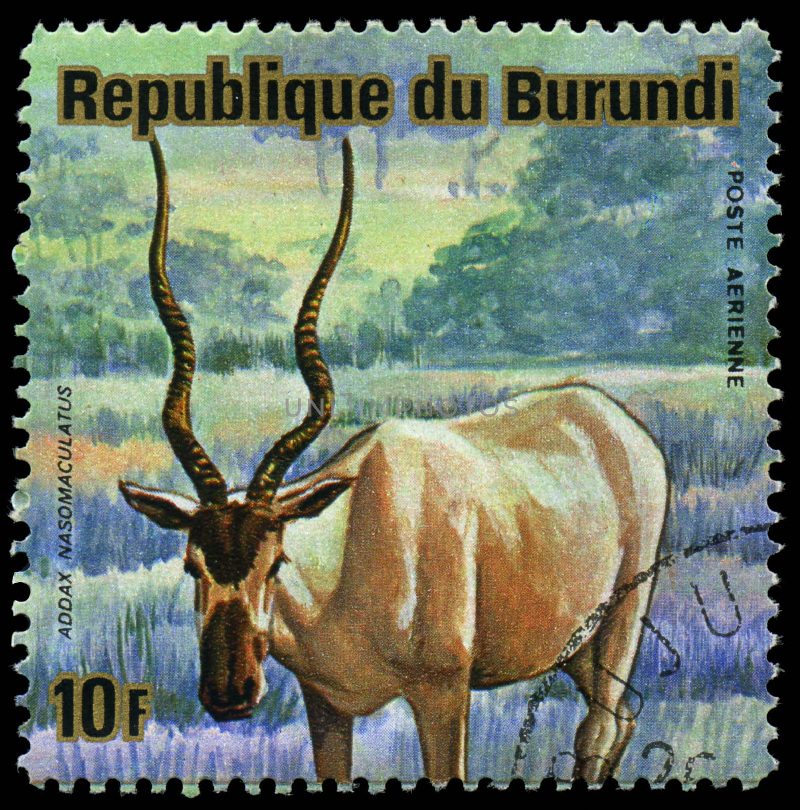 BURUNDI - CIRCA 1964: A stamp printed in Burundi shows a wild animal, circa 1964. by Zhukow