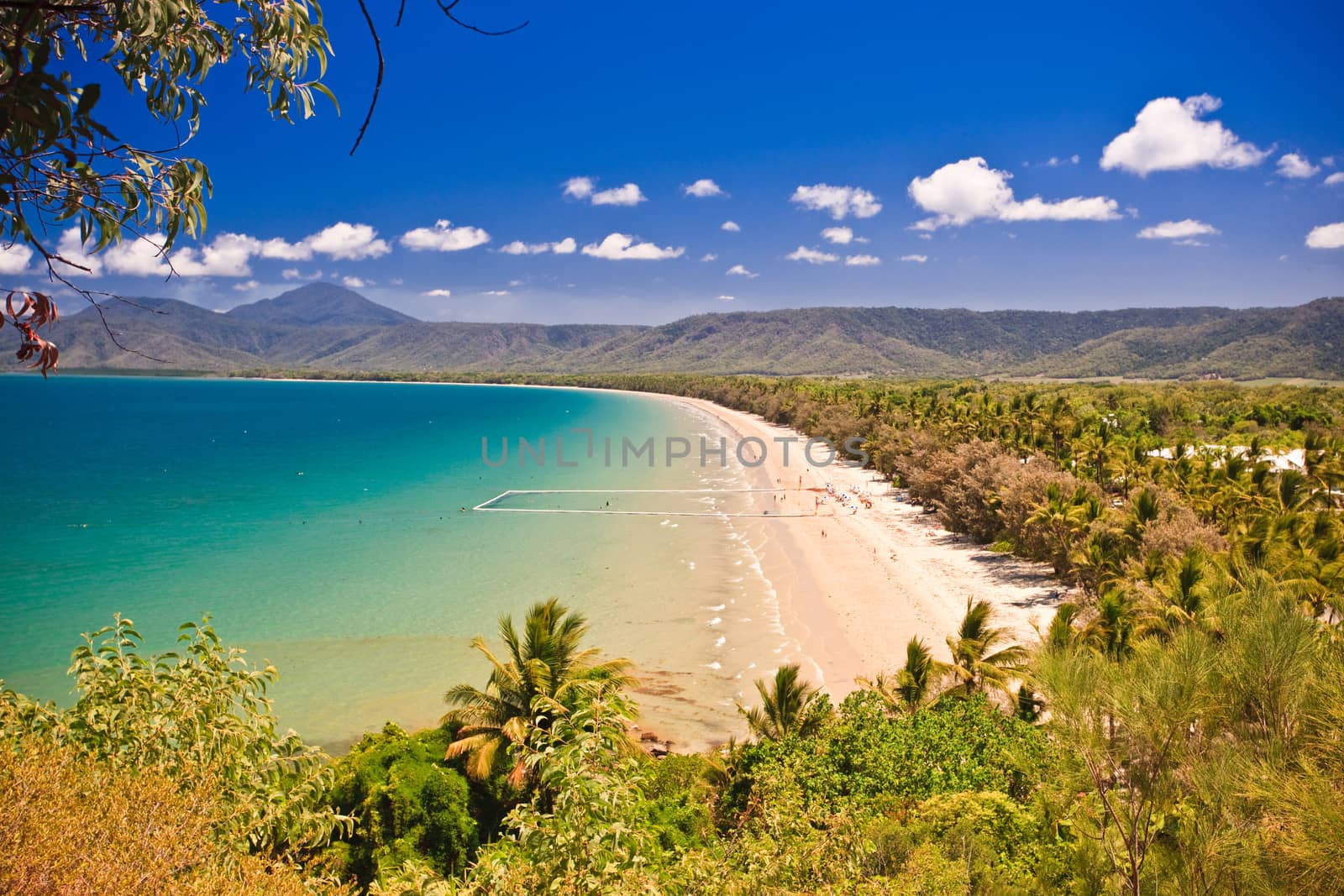 View of a beautiful tropical beach with golden sand fringed with lush vegetation and palm trees and an azure blue ocean