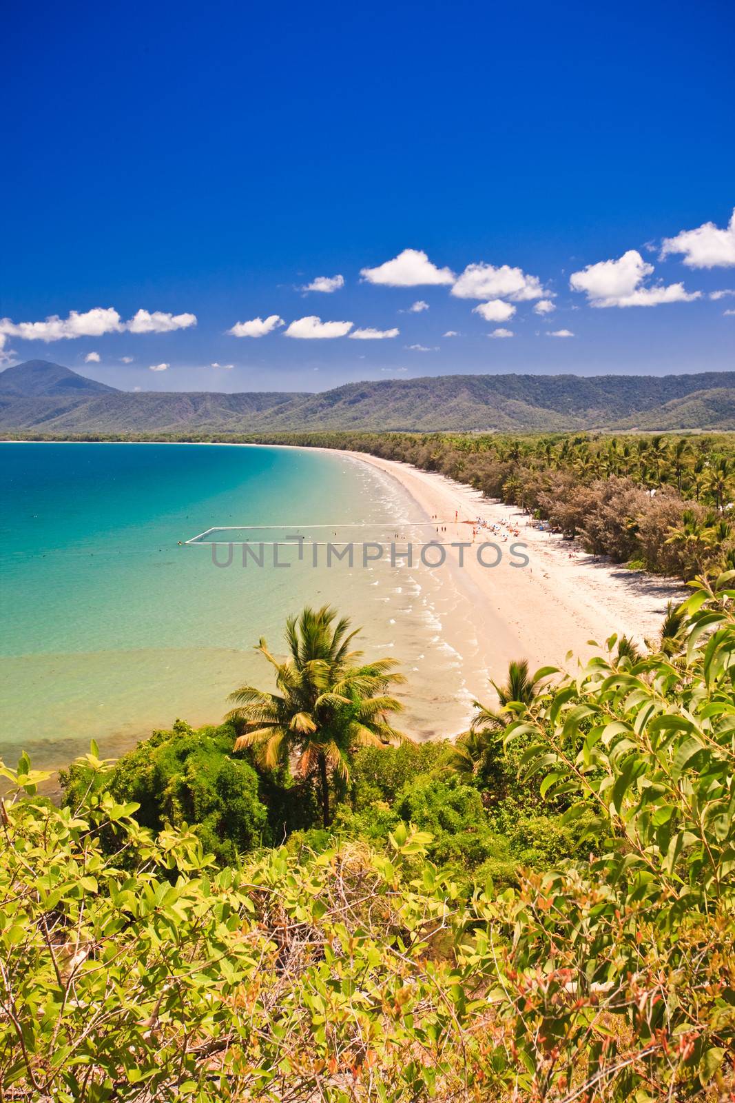 View along the coastline of a pristine Australian beach with golden sand and a blue ocean fringed with lush tropical vegetation