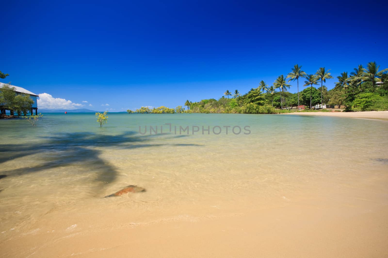 Idyllic tropical bay with gently curving golden sand and a calm blue ocean