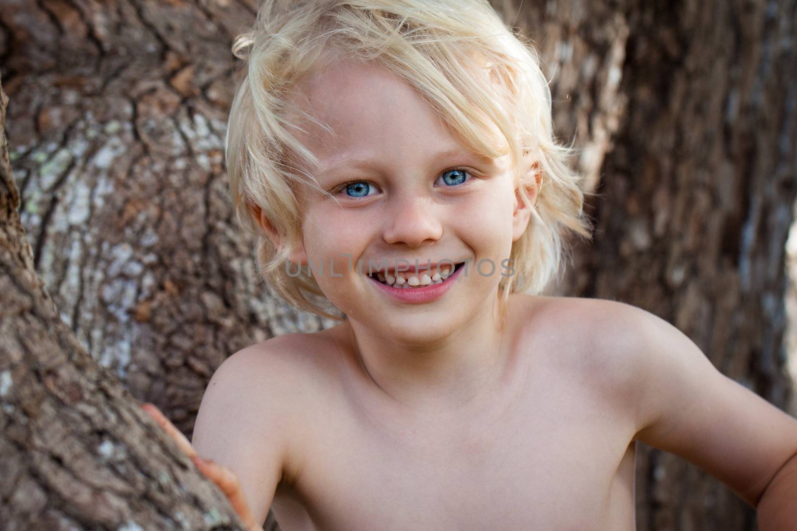 Portrait of a cute boy playing in a tree.