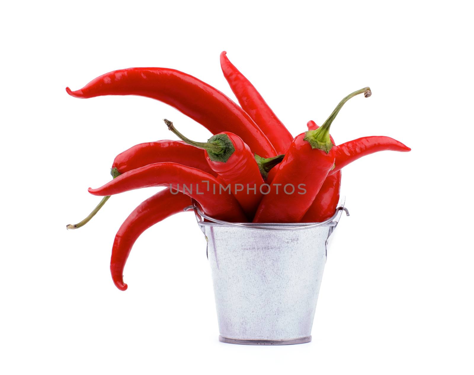 Bunch of Perfect Red Hot Chili Peppers in Tin Bucket isolated on white background