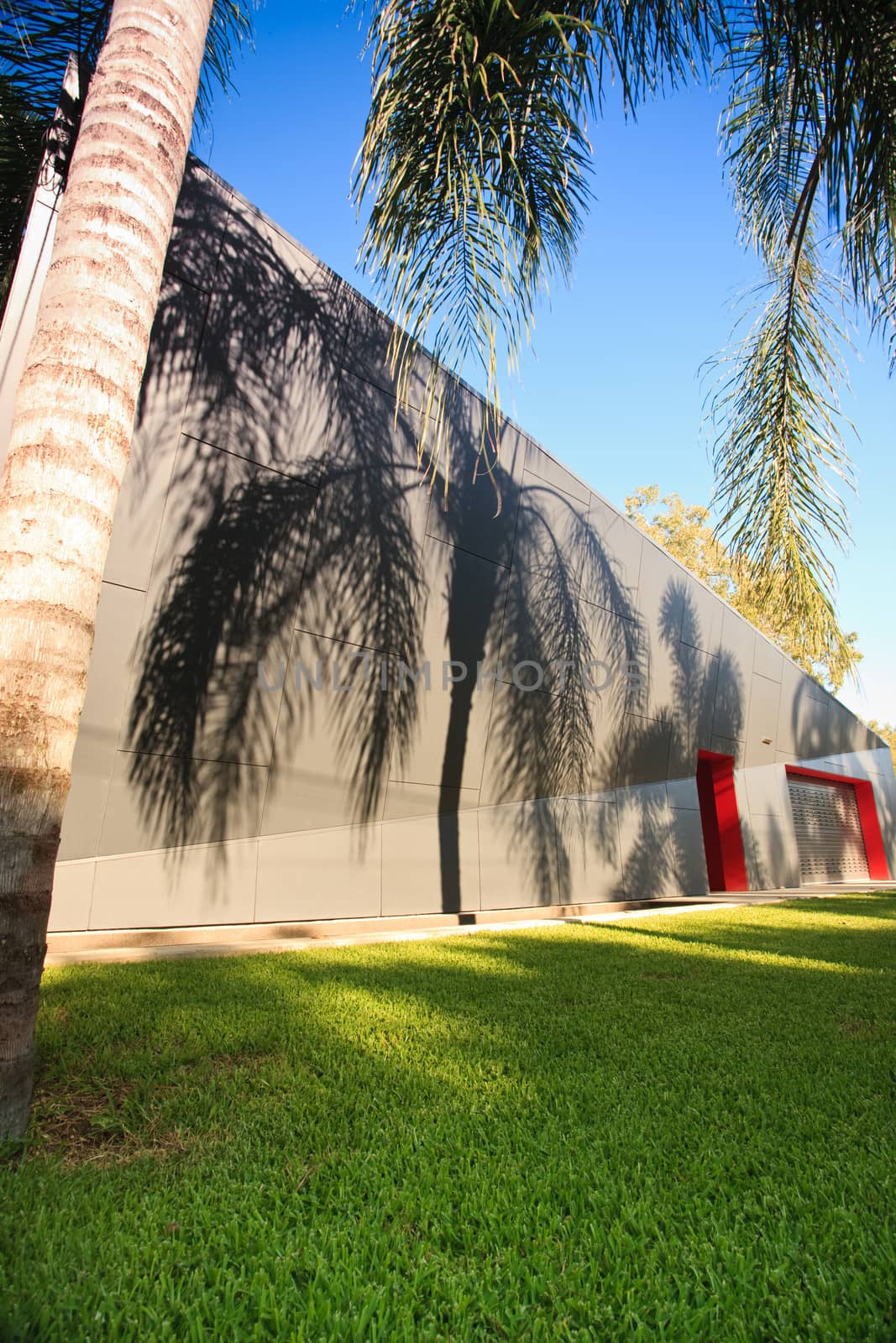 Palm tree shadows on an exterior wall of a modern building with a lush green empty lawn in the foreground