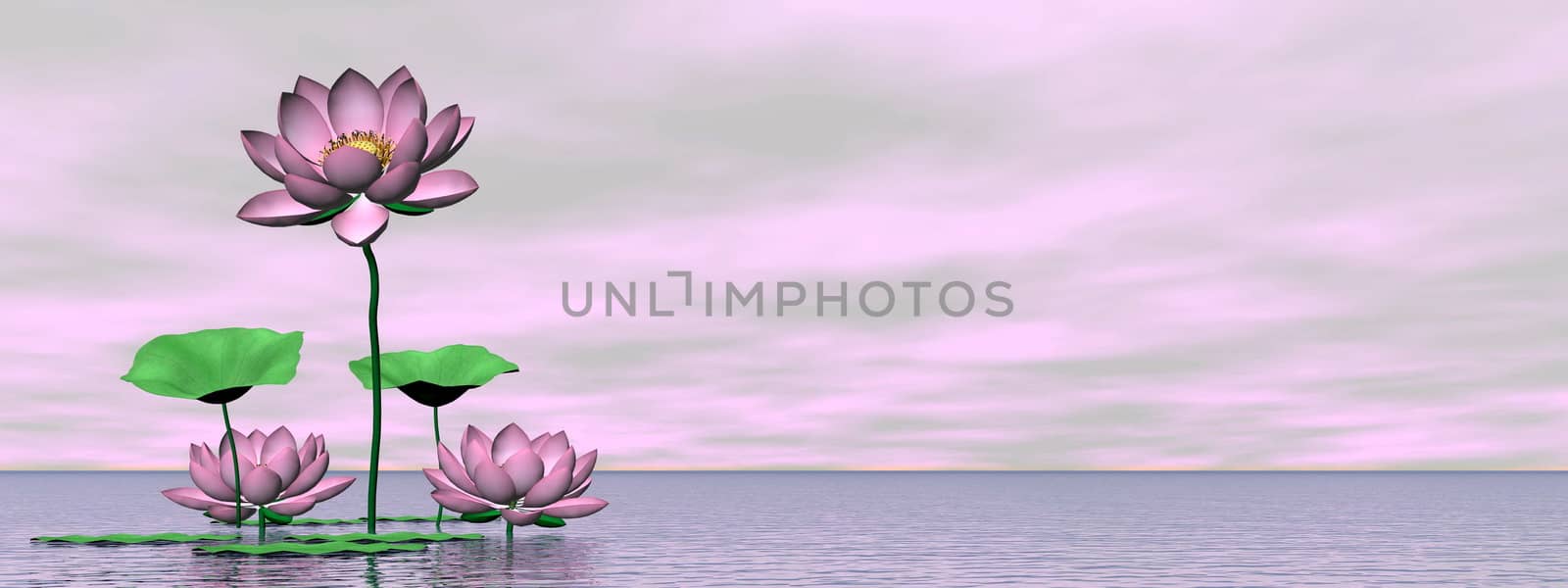 Pink waterlilies and lotus flowers - 3D render by Elenaphotos21