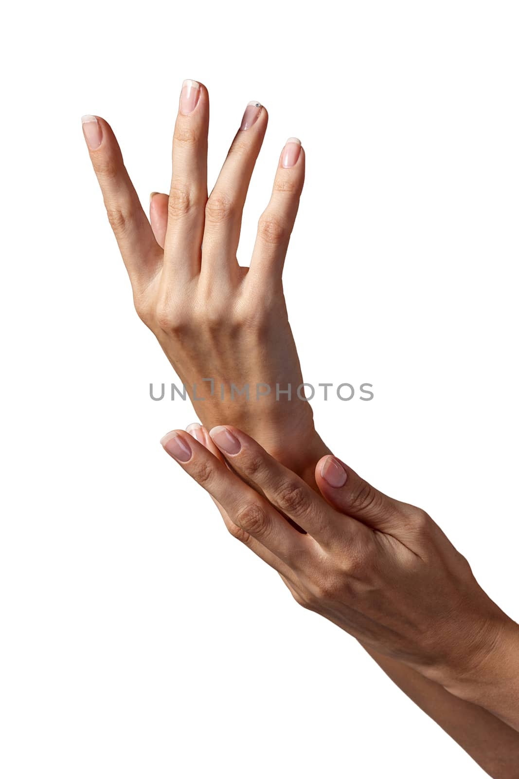 Beautiful female hands isolated on white background