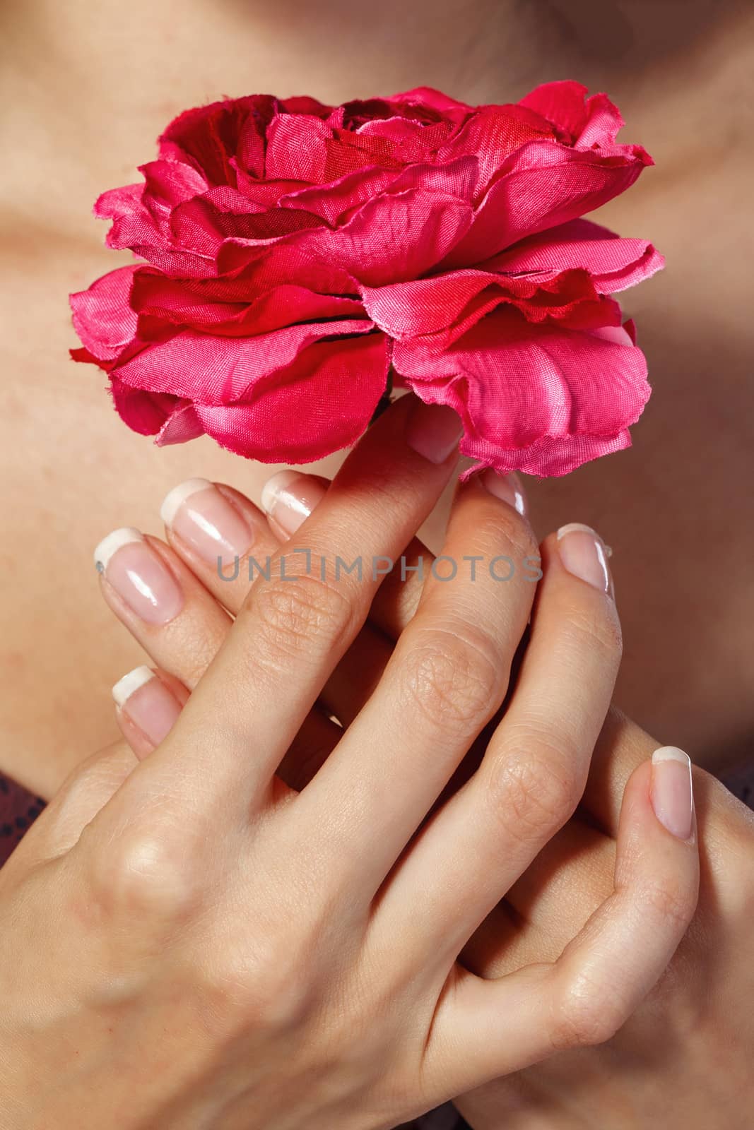 Beautiful female hands with manicure holding rose flower