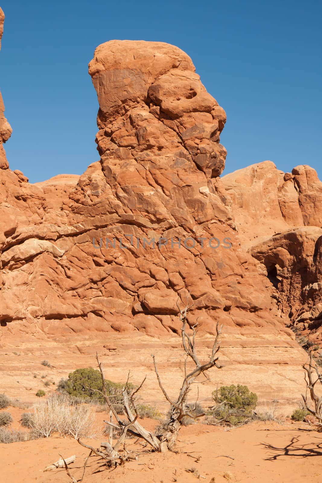 Arches National Park, Utah. The apparent figures at Arches sculpted by wind, rain, and flood has created some startling forms.