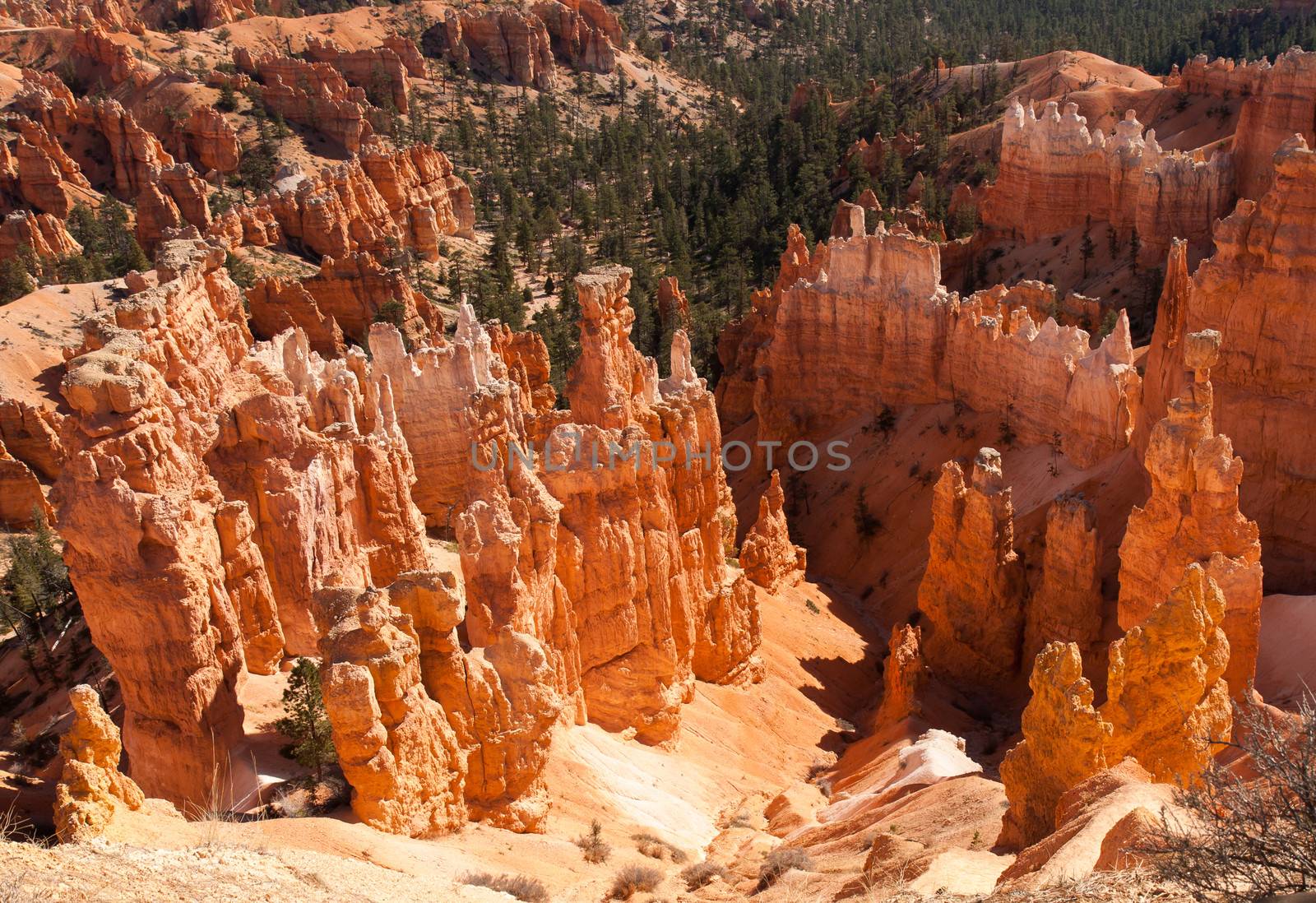 This was taken at Bryce Canyon National Park, Utah. Bryce presents one incredible scene after another.