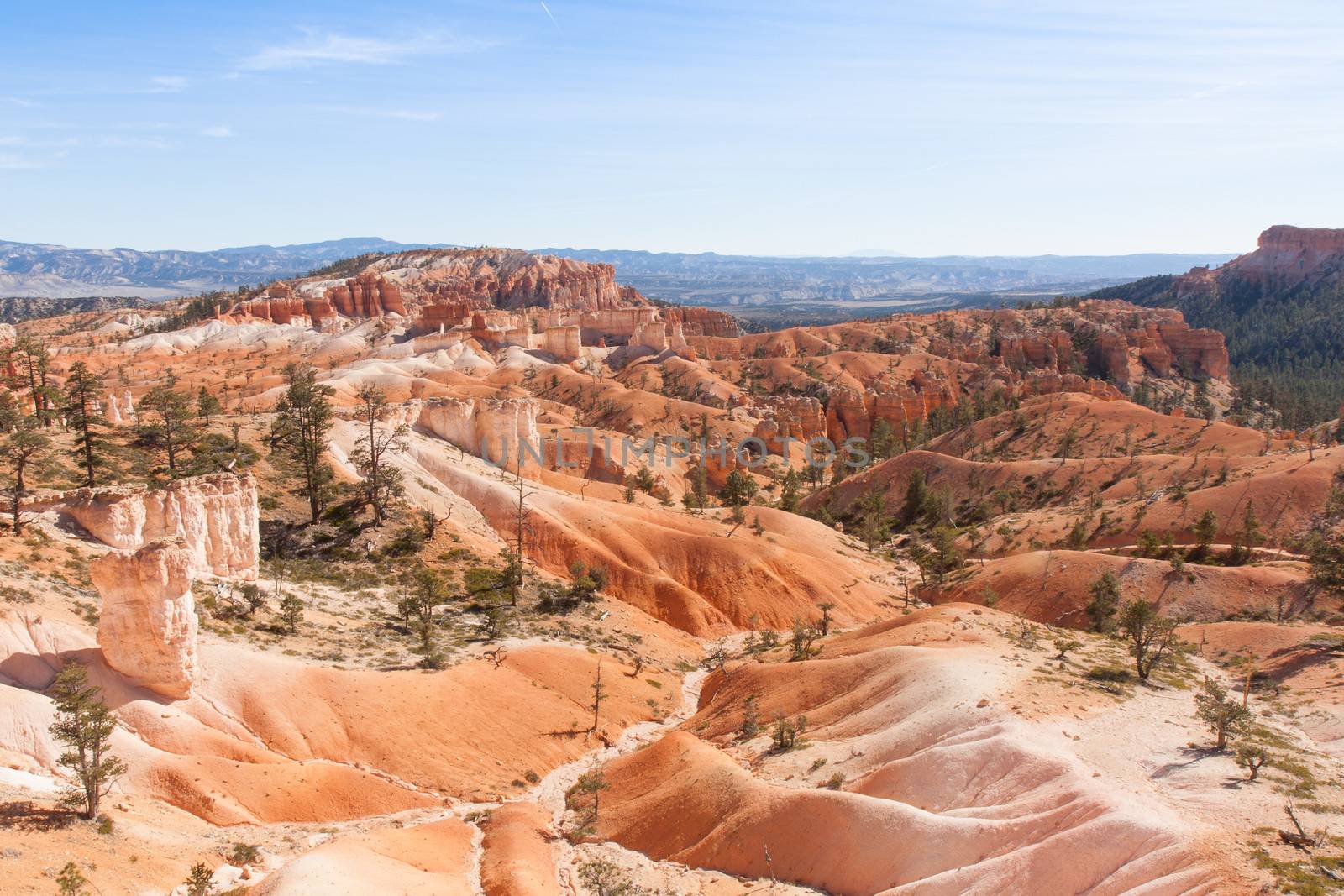 A Sweeping Vista at Bryce Canyon National Park by picturyay