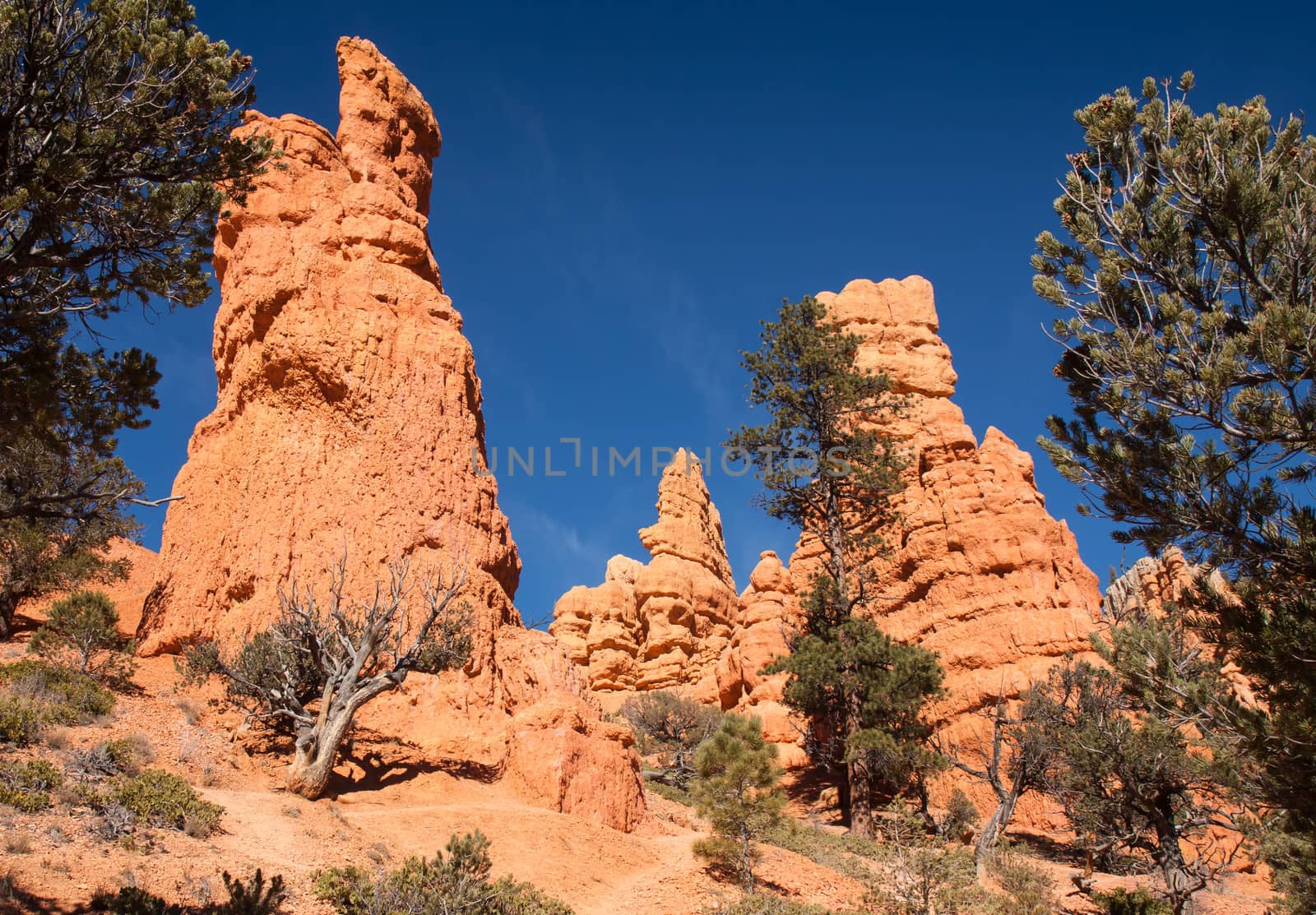 Rock Figures at Red Canyon State Park by picturyay