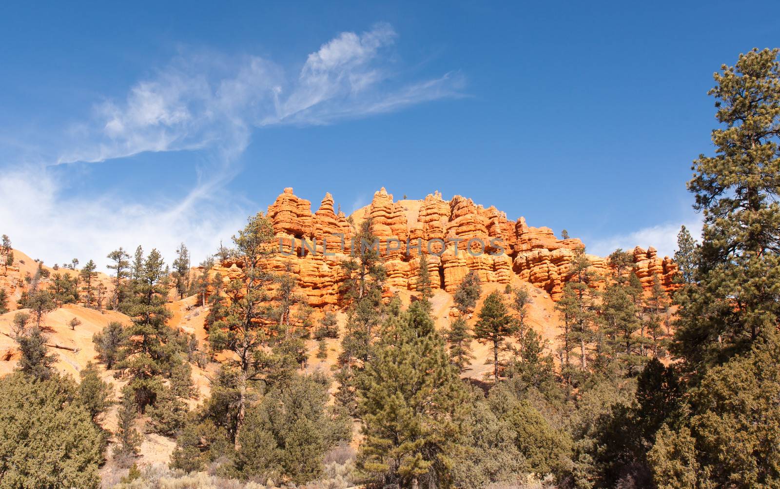 Red Canyon is located just outside of Bryce Canyon and is a significant geological epic in its own right. This was taken while hiking in the canyon.