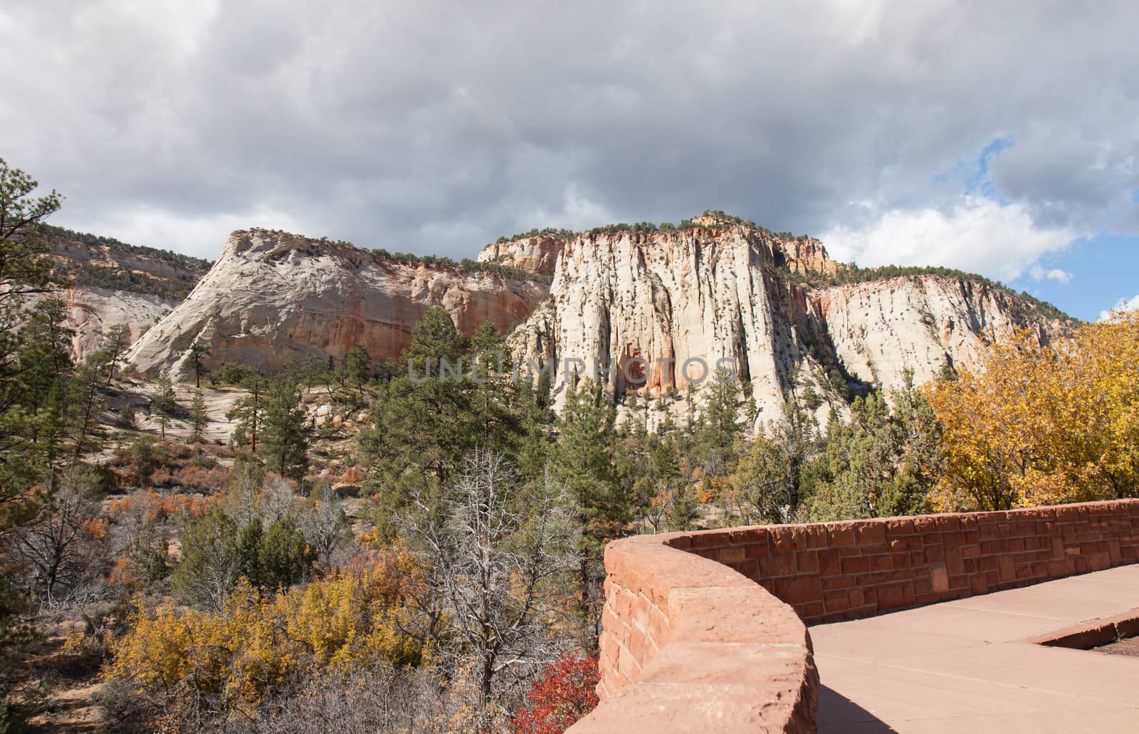 Zion National Park Overlook by picturyay