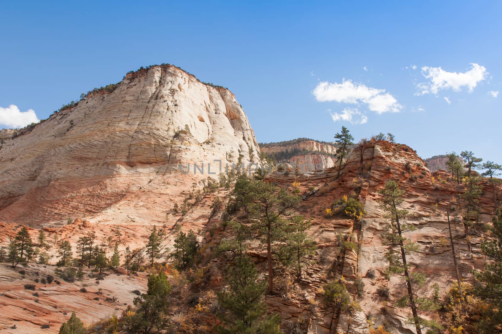 This scene is from the upper plateau region of Zion National Park. Hiking opportunities galore are plentiful throughout this area.