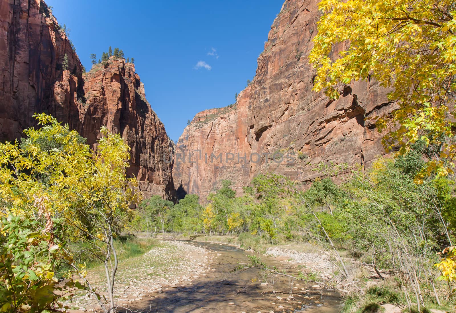 Zion National Park provides enthralling and unbelievable sights, but also provides scenes of peace and tranquility.