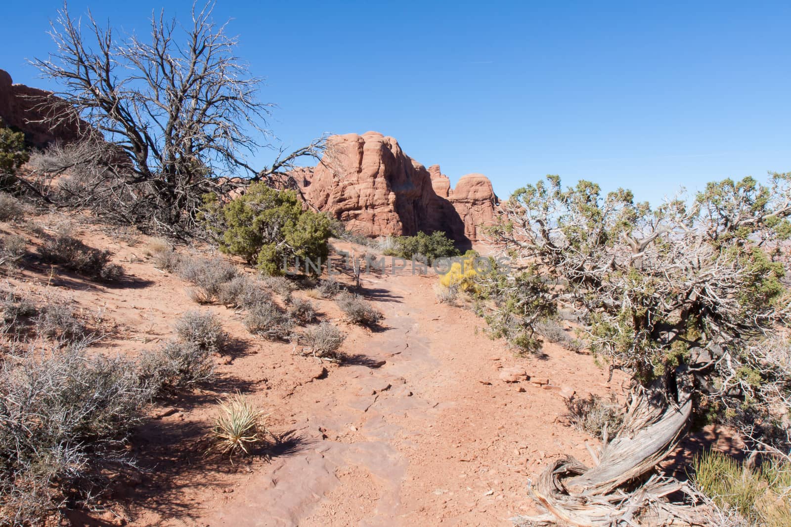 A hiking trail in Arches National Park.