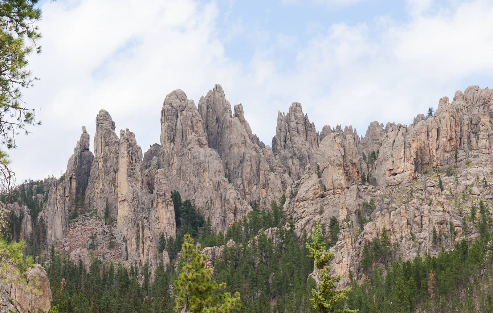 Custer State Park is next to Mount Rushmore and shares the same rugged Black Hills landscape.