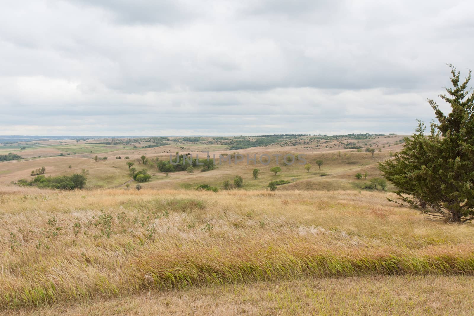 Golden Hills in Nebraska by picturyay