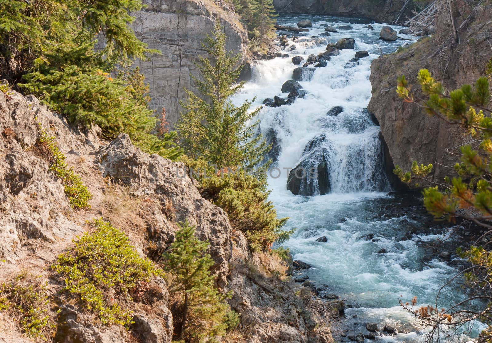 Yellowstone Firehole River by picturyay