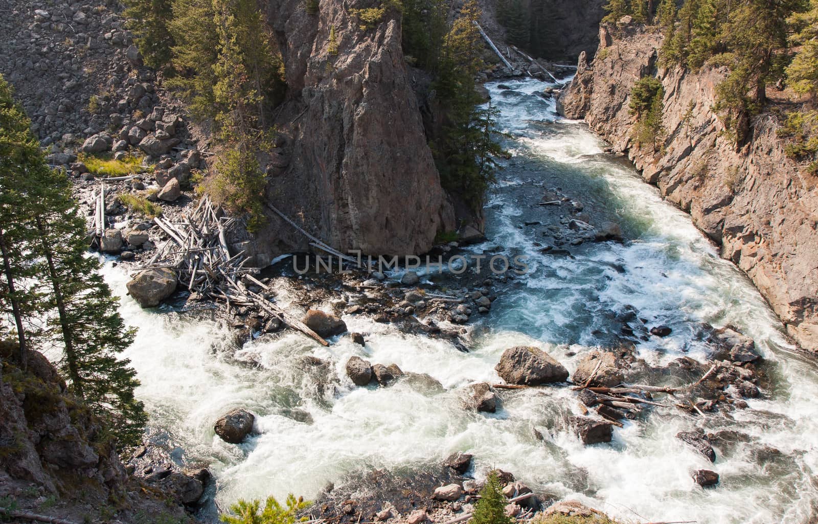 The Firehole River at Yellowstone National Park is a picturesque, pristine waterway.