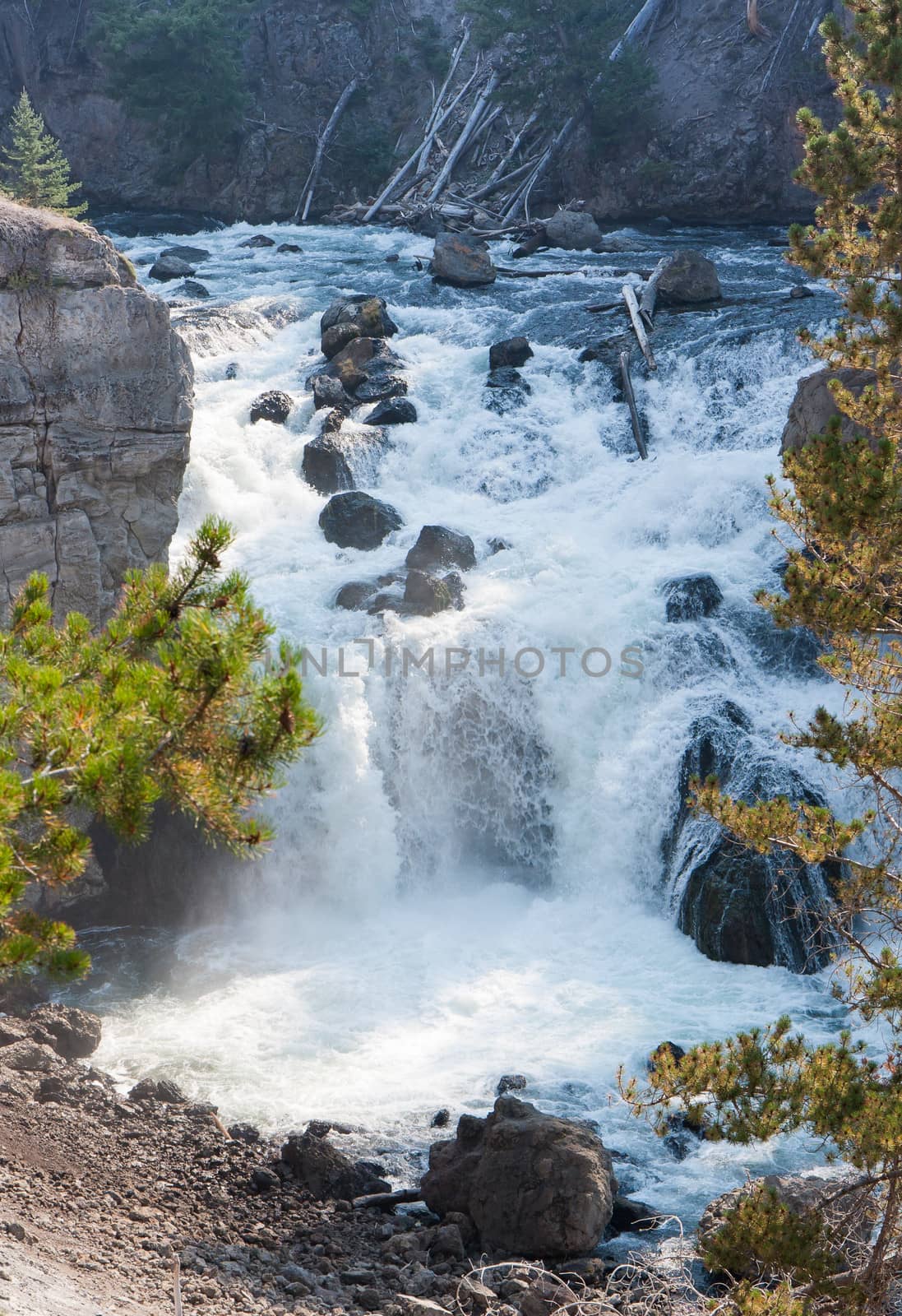 Yellowstone Firehole River Cascade by picturyay