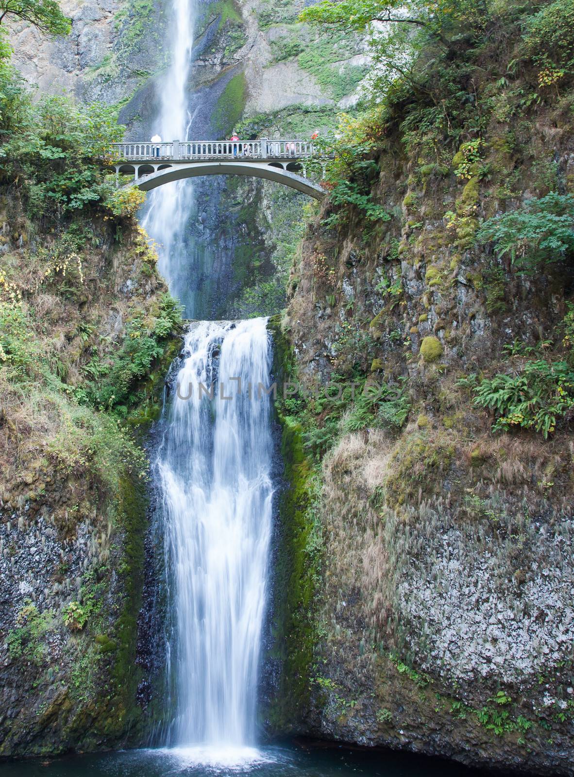 Lower Multnomah Falls by picturyay