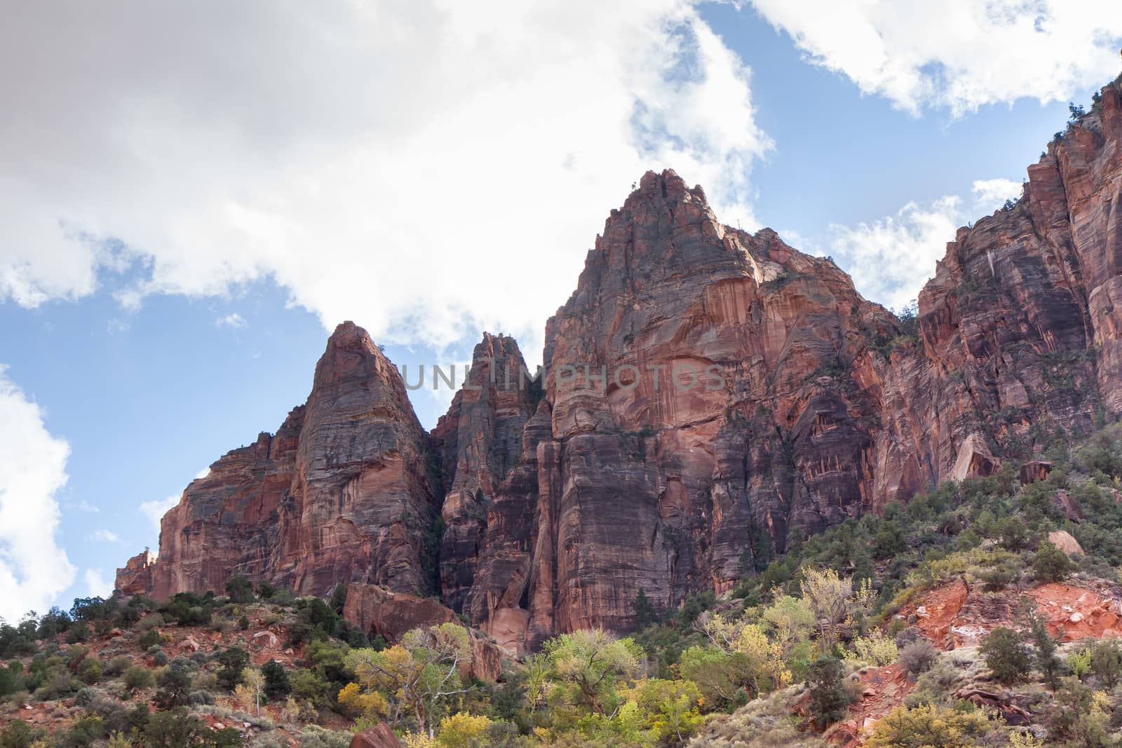 Zion Canyon Terrain by picturyay