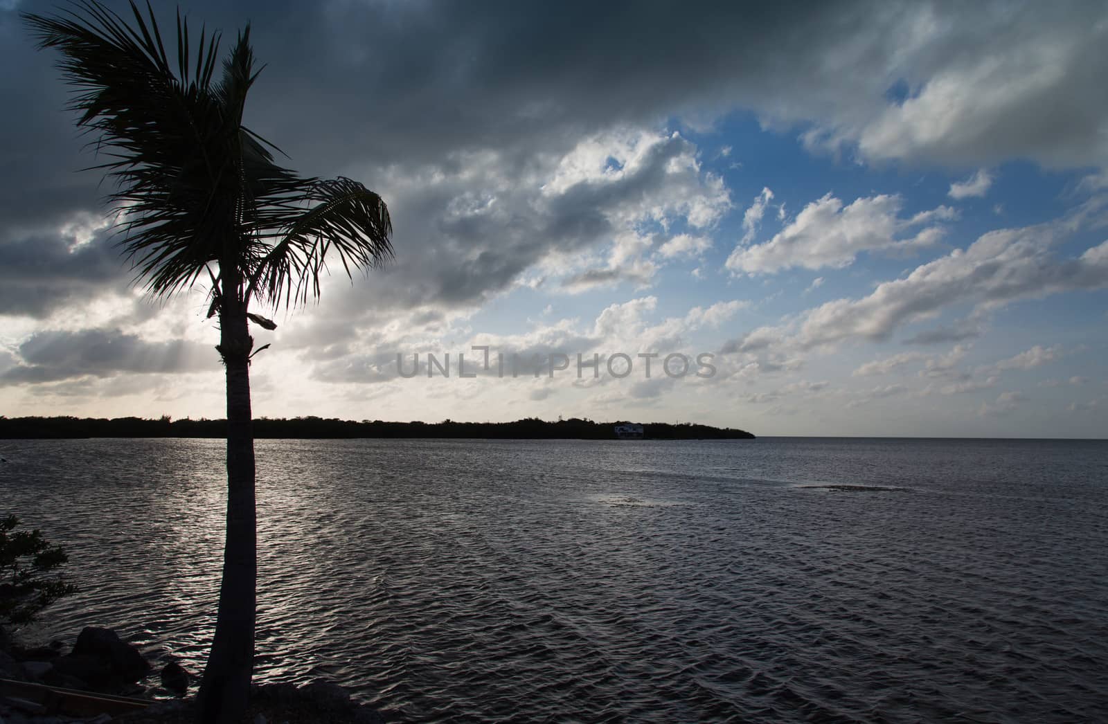 The Sun is shielded by the palm tree as it begins to set in the Florida Keys.