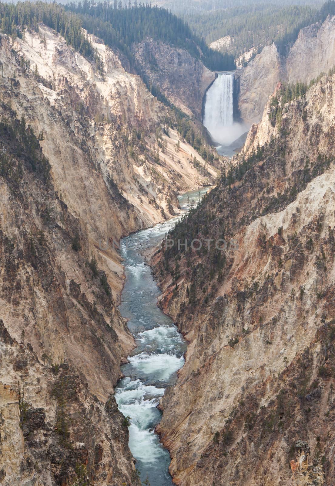 Yellowstone Grand Canyon by picturyay