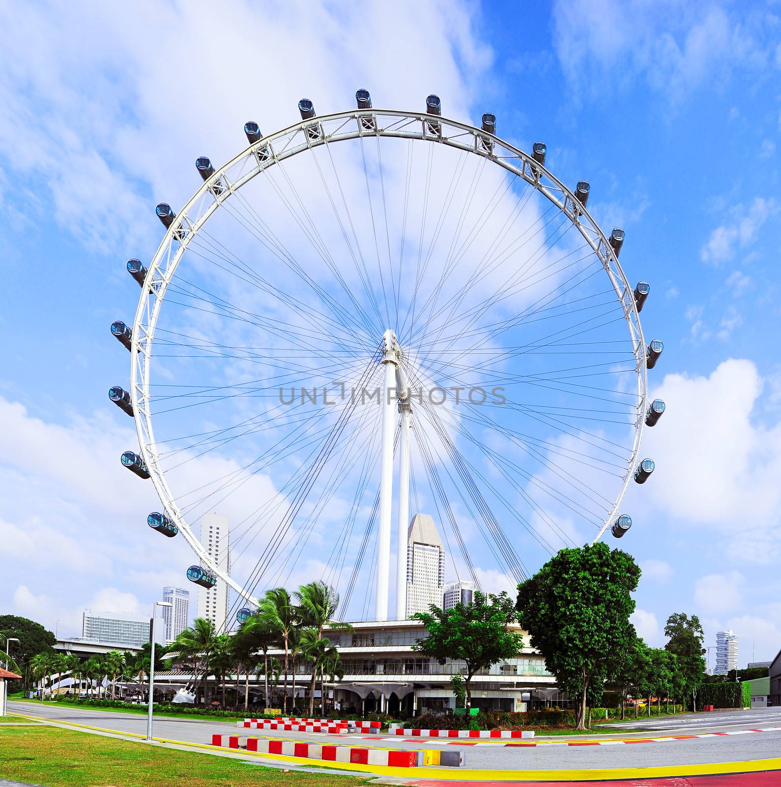 Singapore Ferris Wheel by joyfull