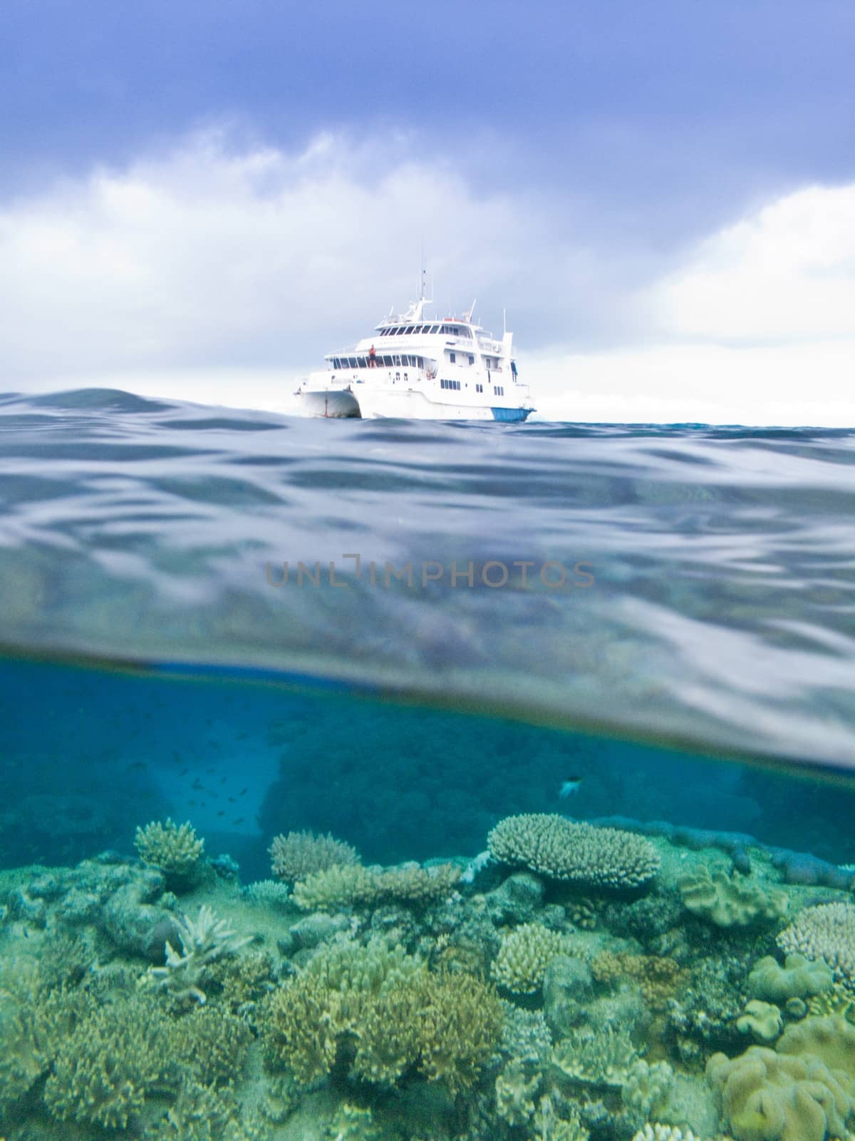 View of a luxury boat on the surface and the reef below the water.