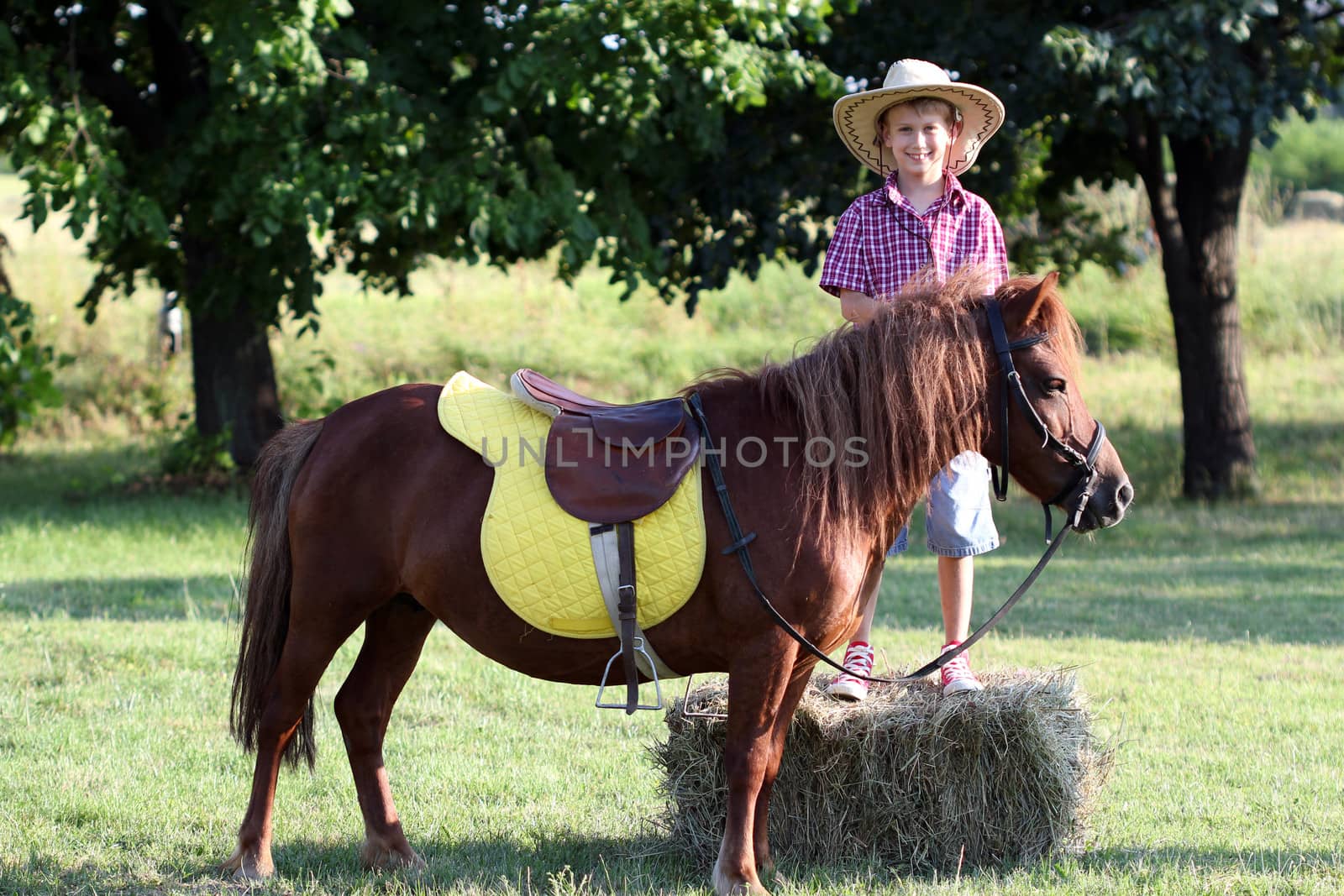 happy boy with pony horse on field by goce
