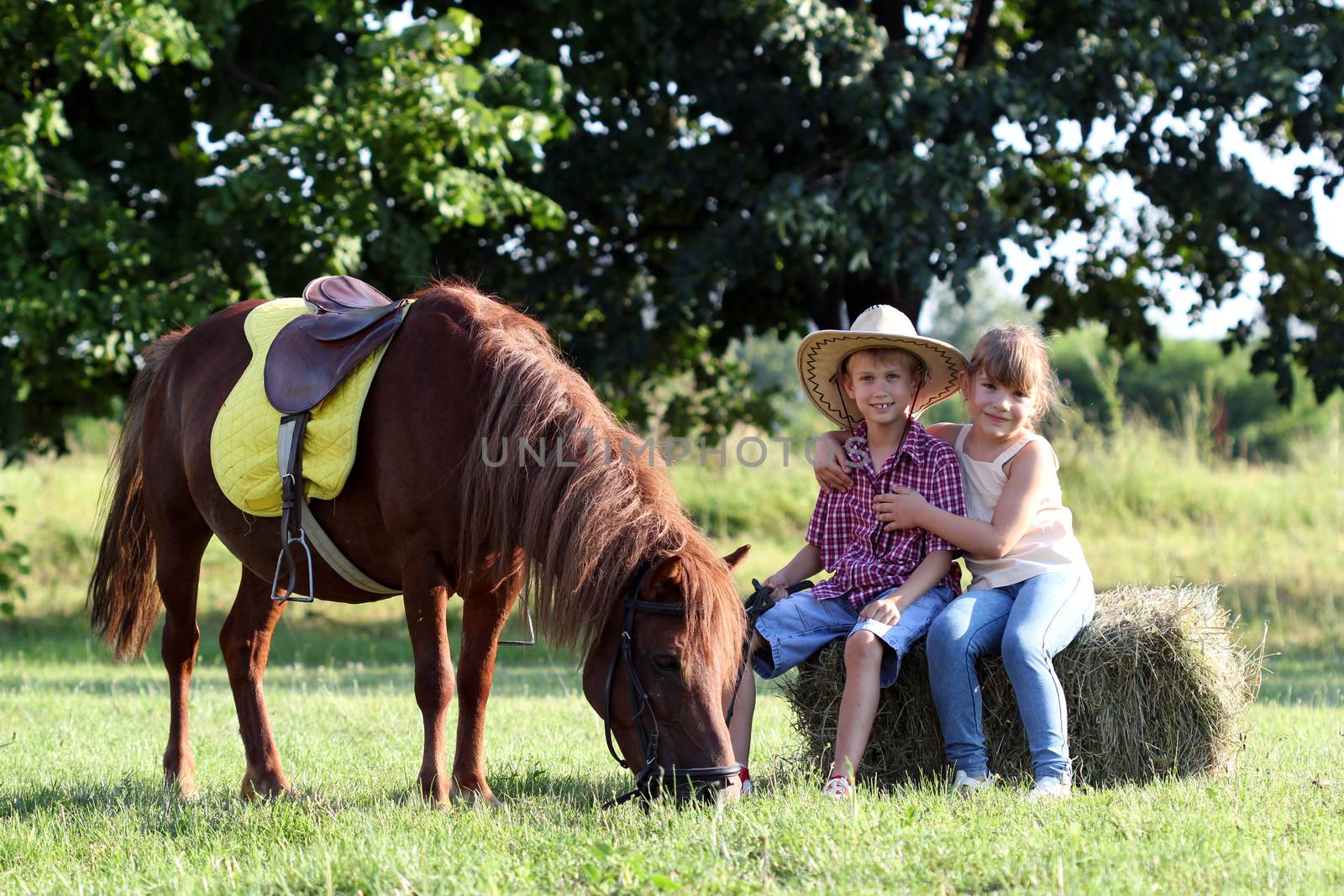 happy little girl and boy with pony horse  by goce