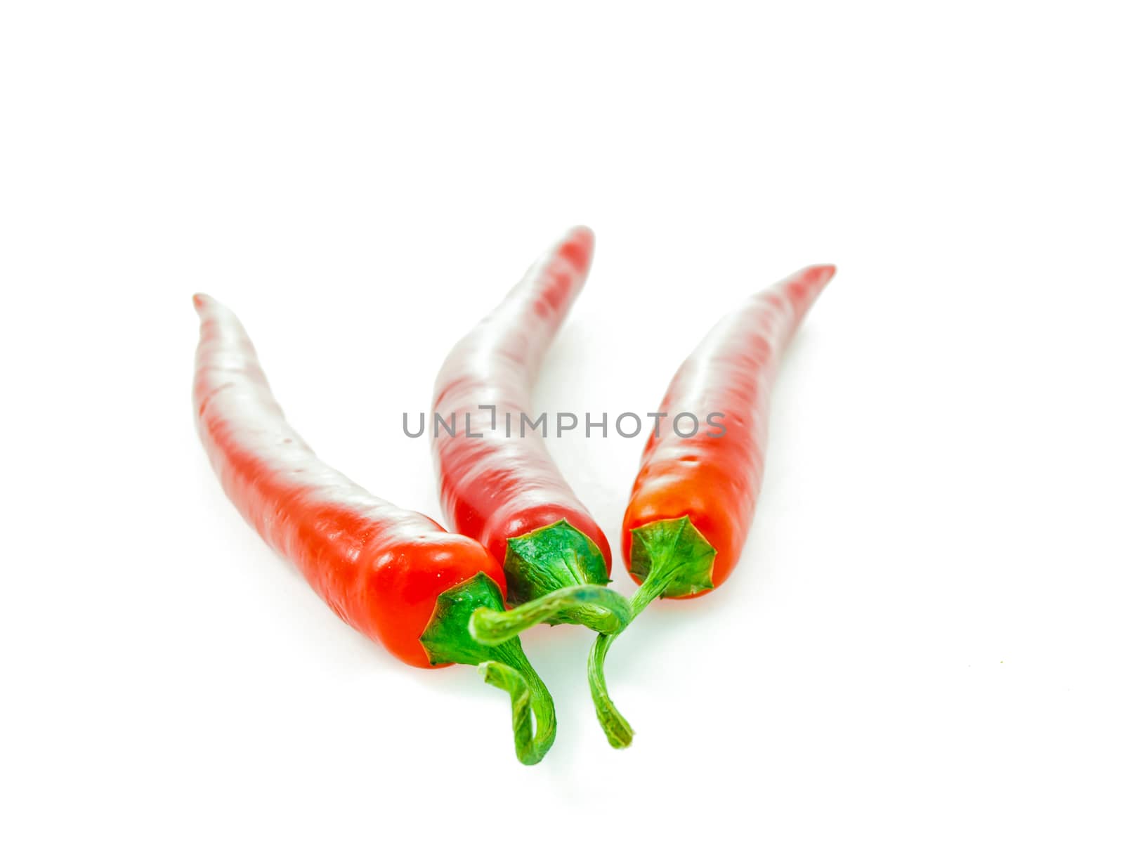 Red chili pepper by Arvebettum