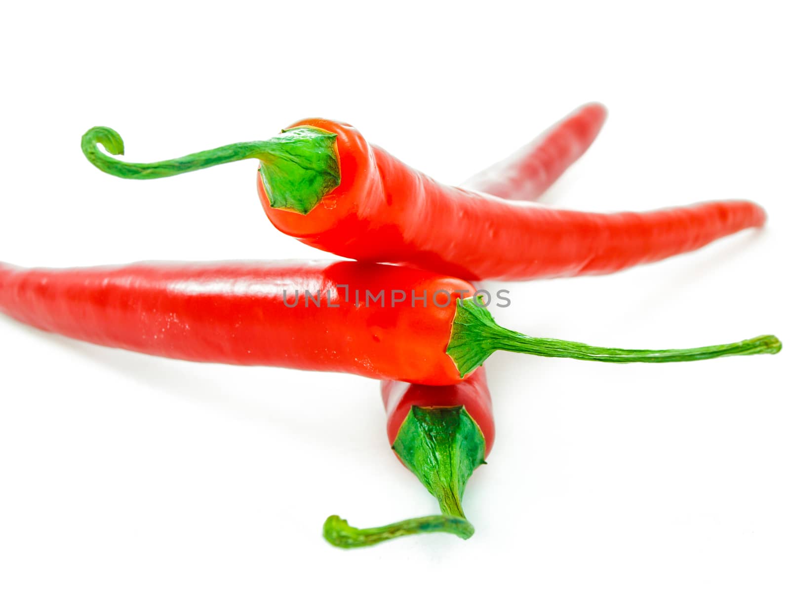 Three red chilies isolated towards white background