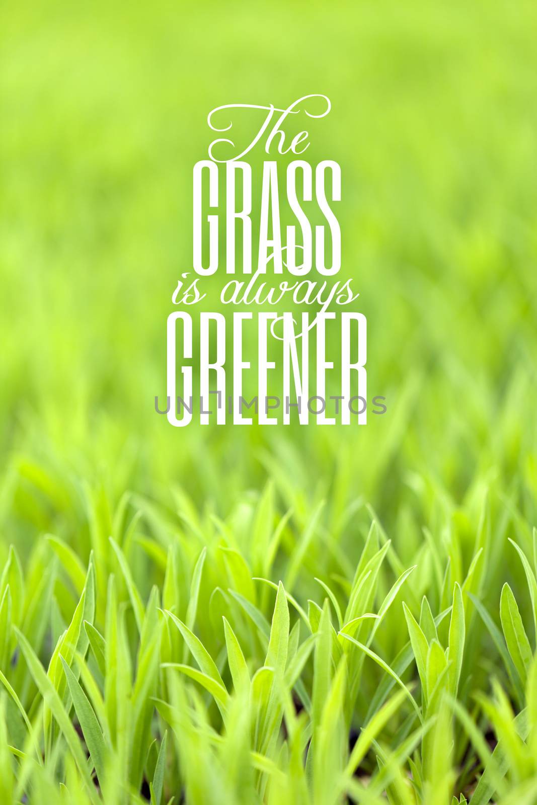 Green grass with typography quote about the grass always being greener on the other side with copy space.