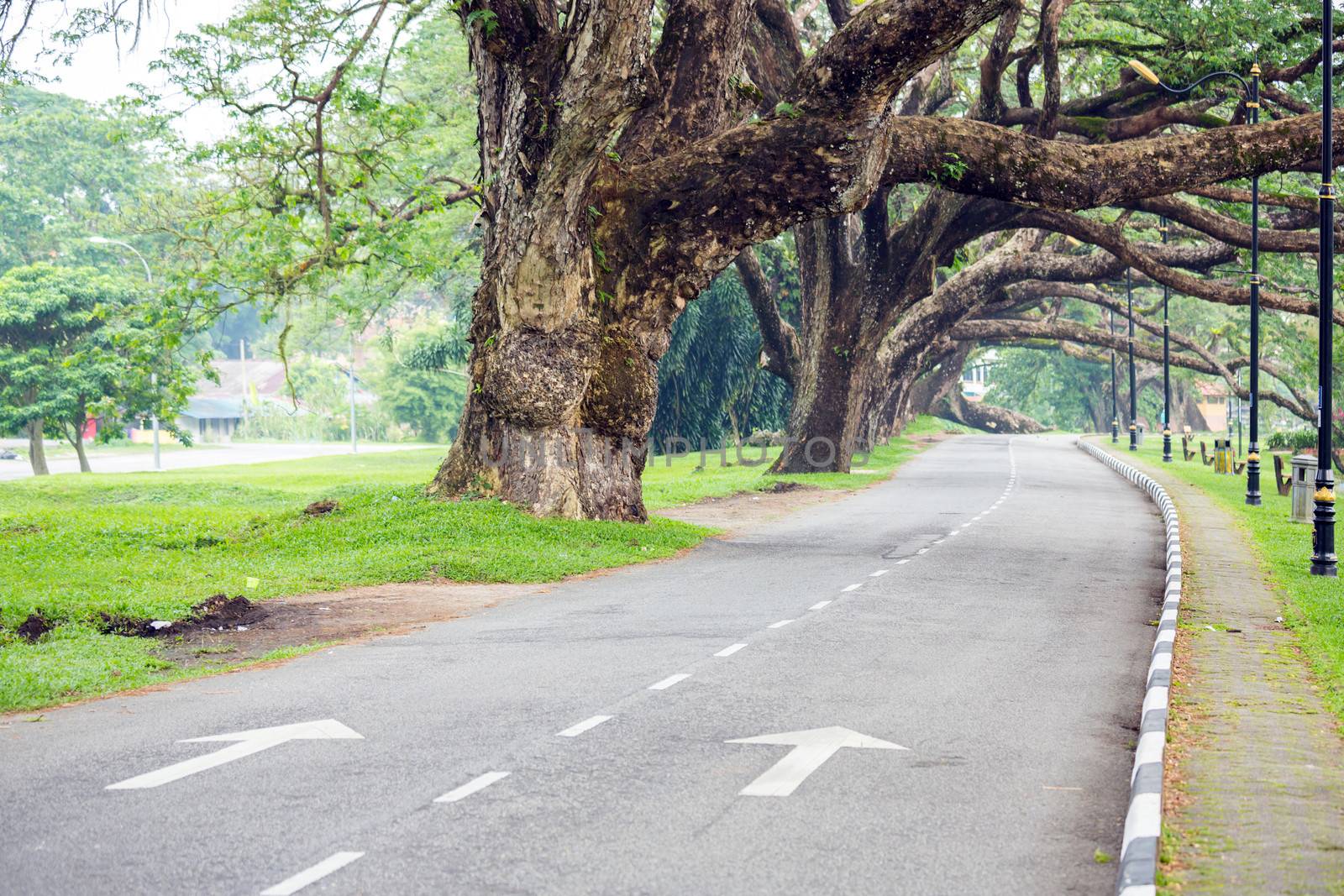 Street in Lake garden at Taiping Perak Malaysia