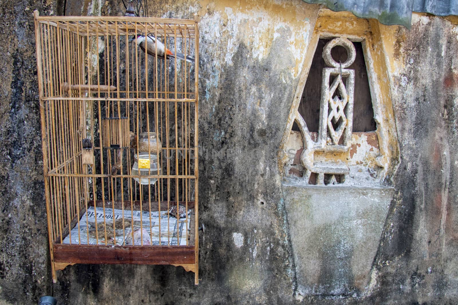Birdcage and window on old house in Hoi An, Vietnam