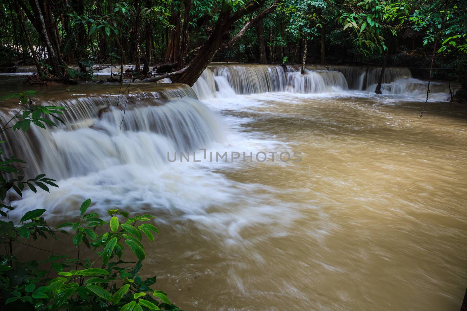 Tropical rain forest waterfalls