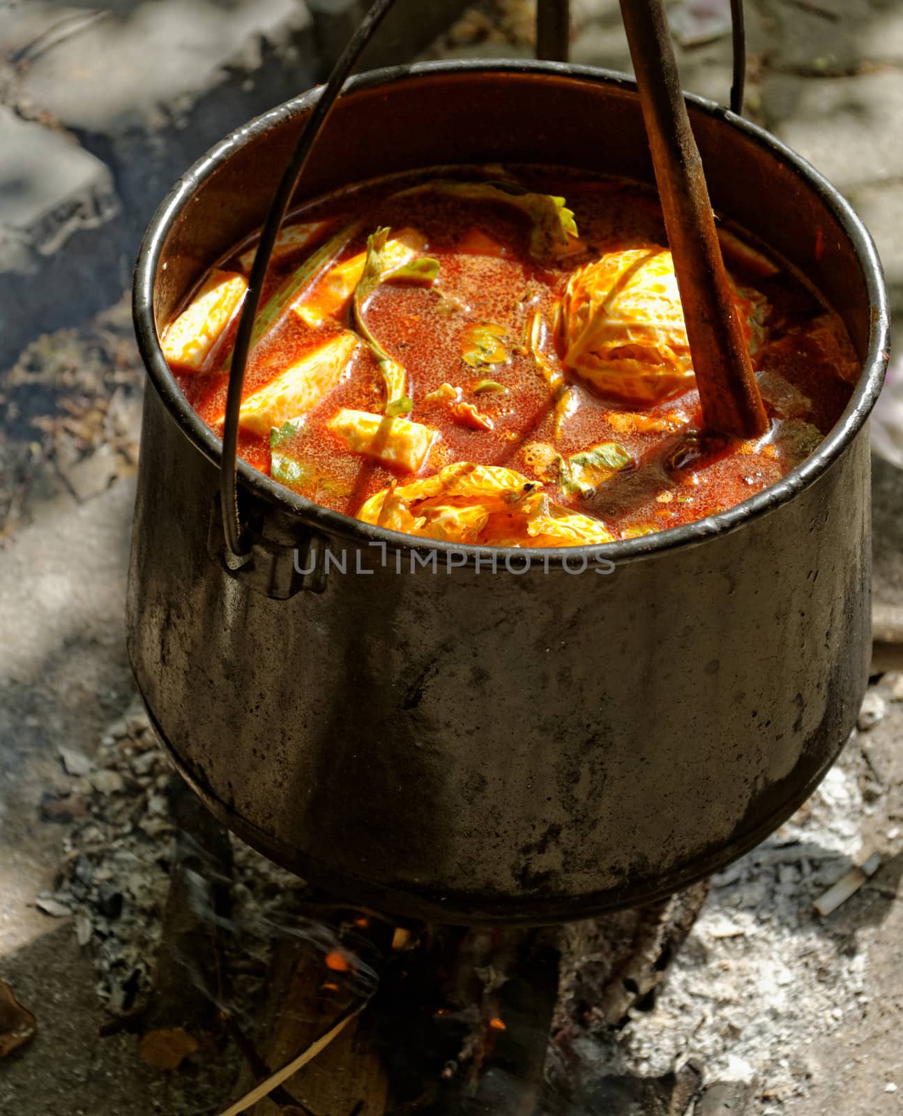 food cooking in stew pot in the nature