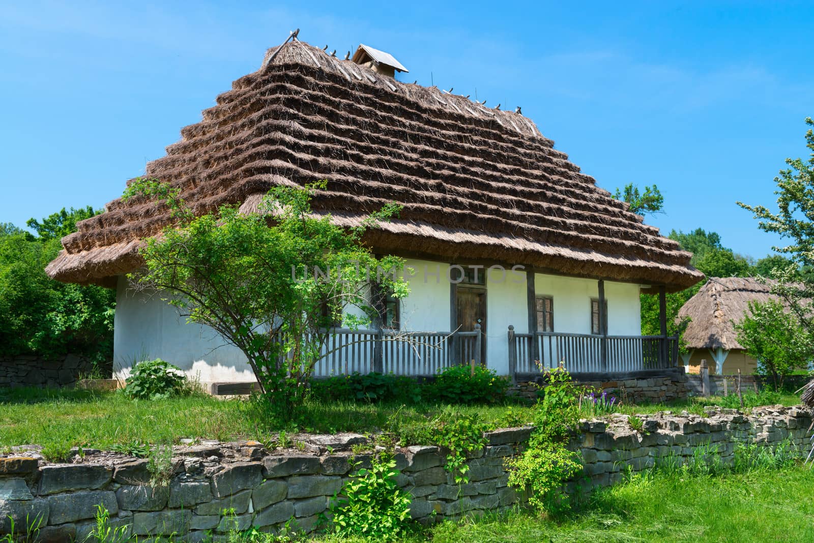 Typical village house in Ukrainian countryside with gardens around