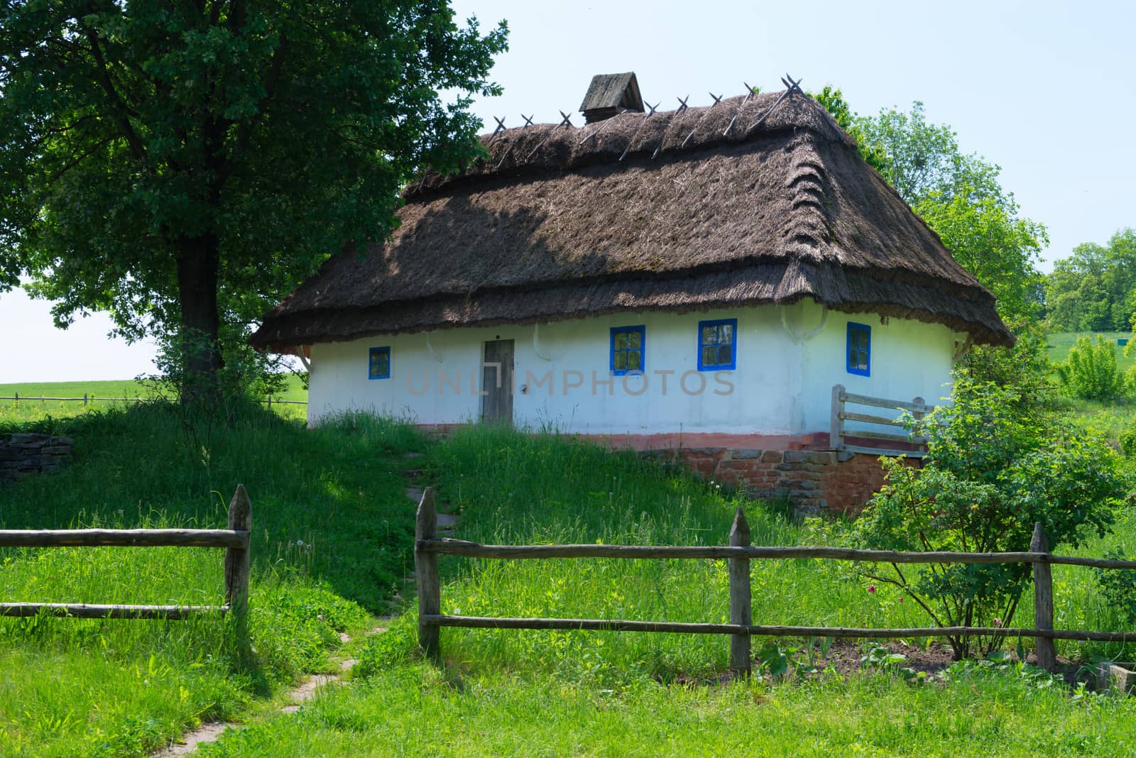 Typical village house in Ukrainian countryside with gardens around