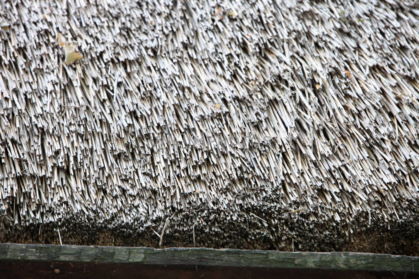 Close up of a thatch roof on a building showing the texture of the reeds