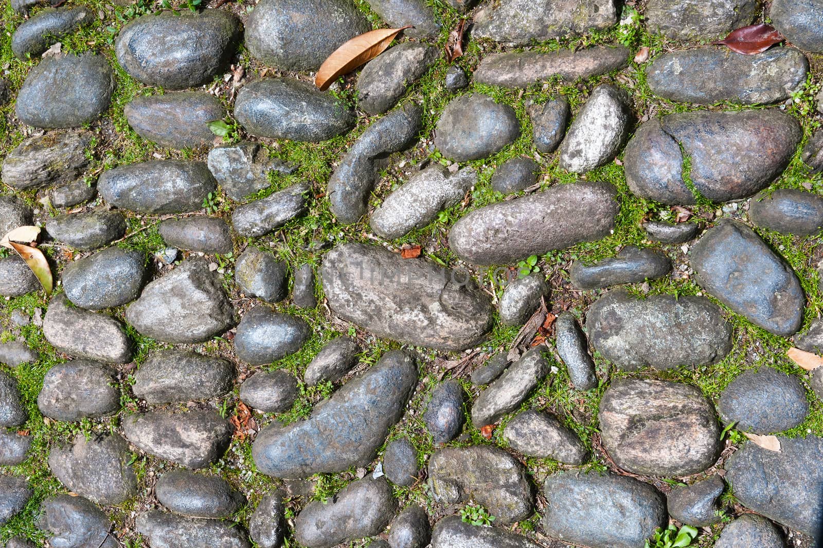 Background laying on the pavement of round pebbles