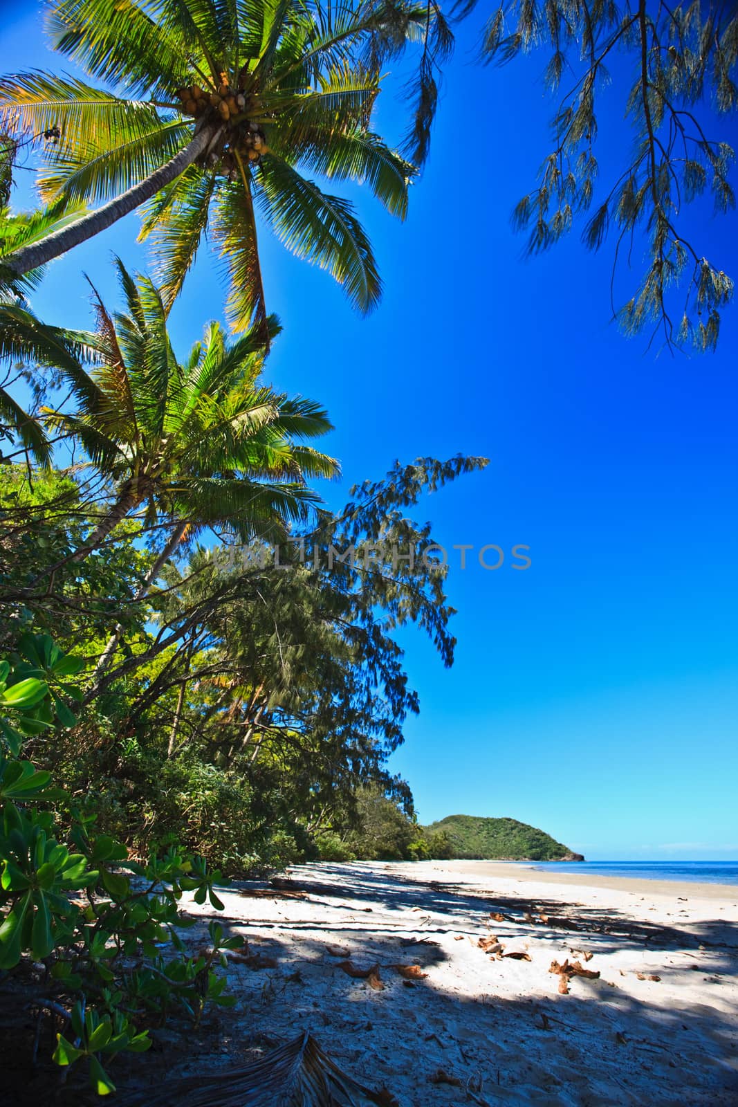 Beautiful deserted tropical beach by jrstock