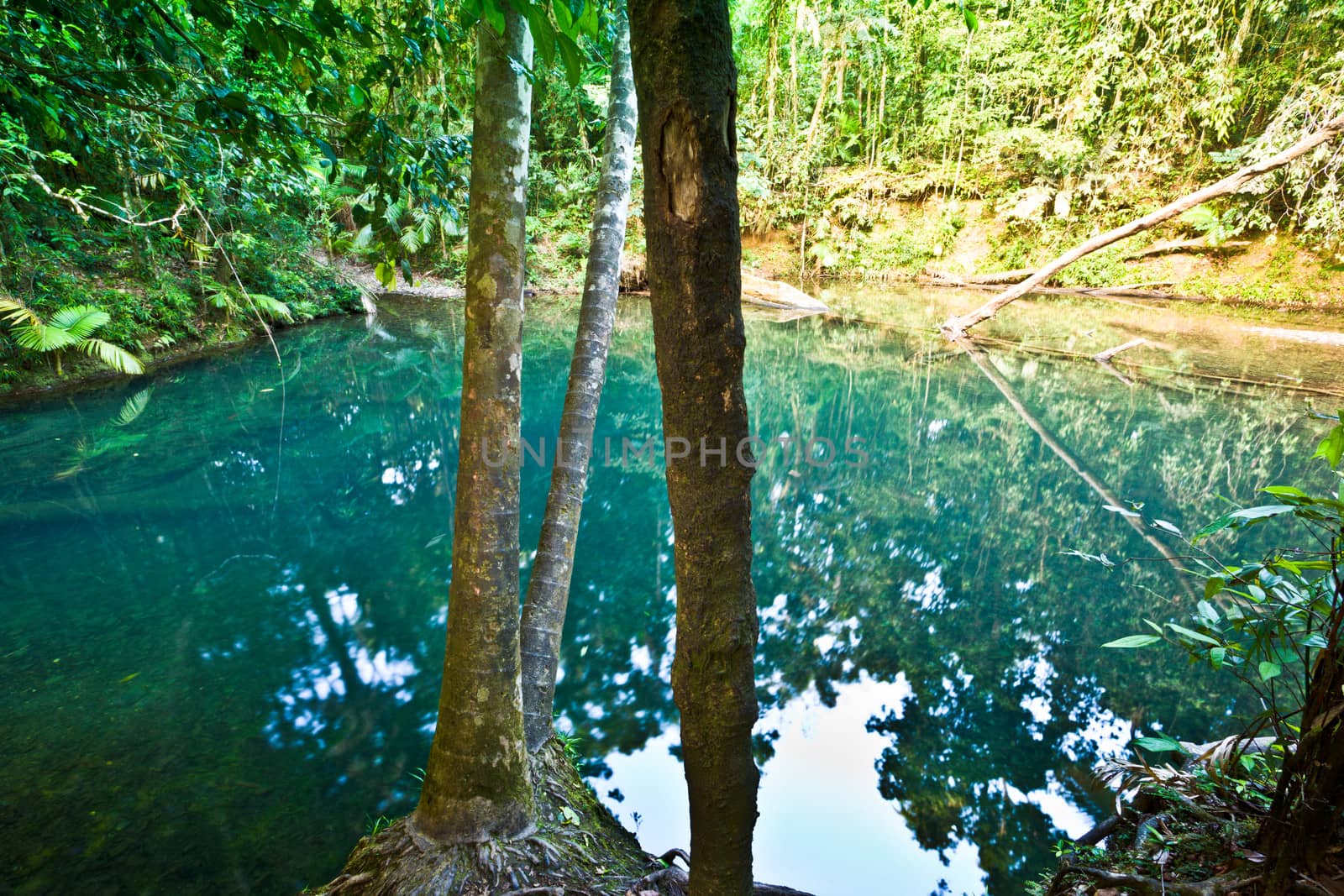 Beautiful lake in a rainforest by jrstock