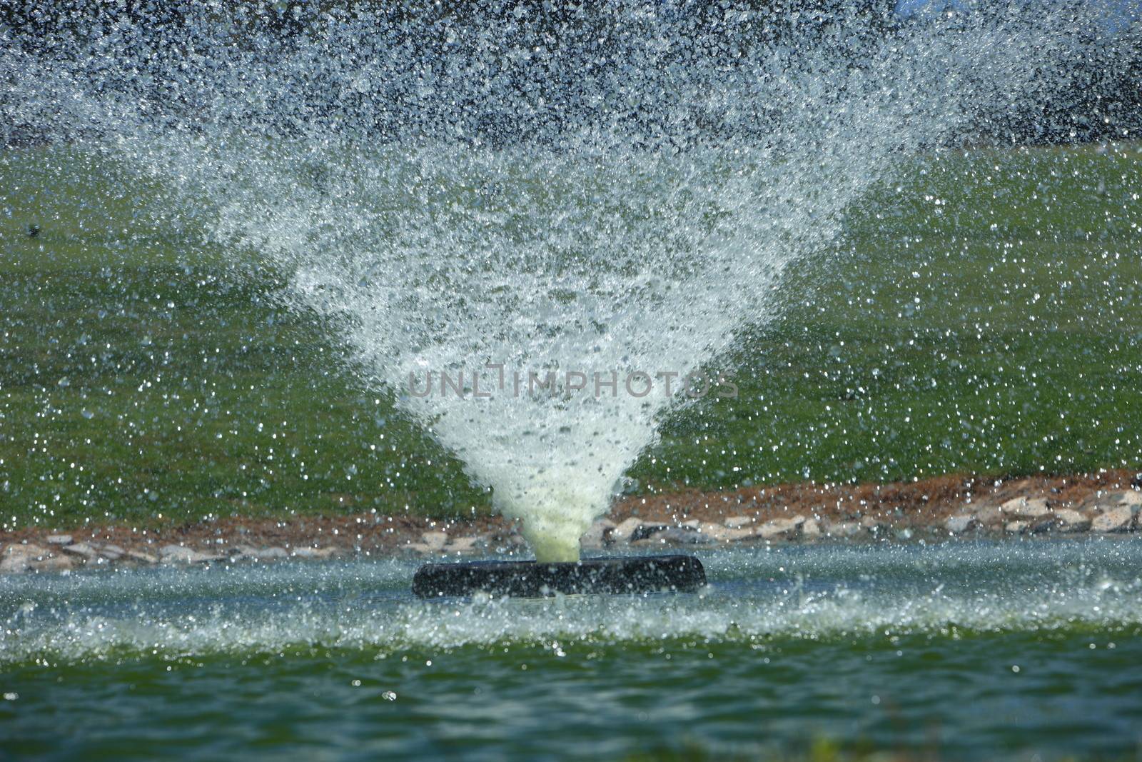 Ornamental fountain in a pond spraying out a strong conical jet of water with droplets suspended midair