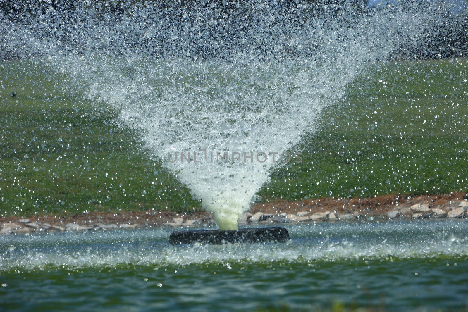 Ornamental fountain in a pond by Farina6000