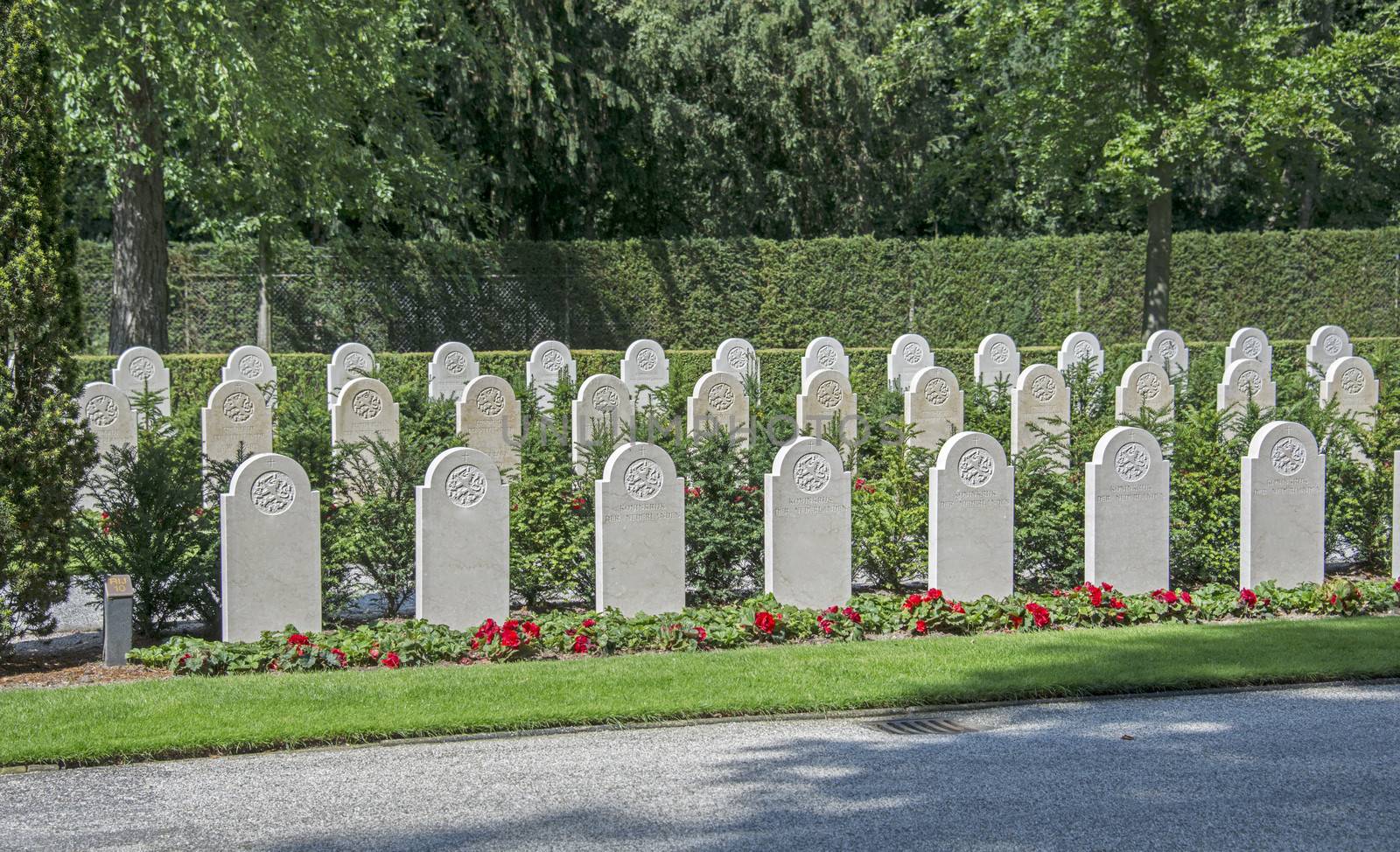 militairy cementry in Holland on the Grebbeberg with people died in the second world war in 1940